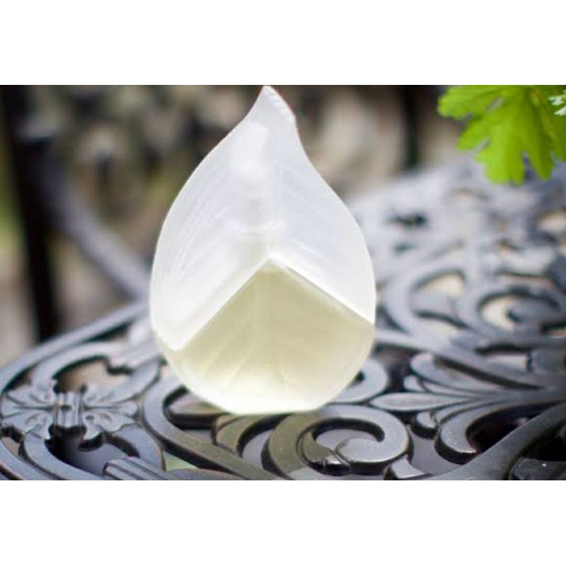 parfum original eropa kenzo d'ete 1992 ( daun berdiri) edt 50ml for men