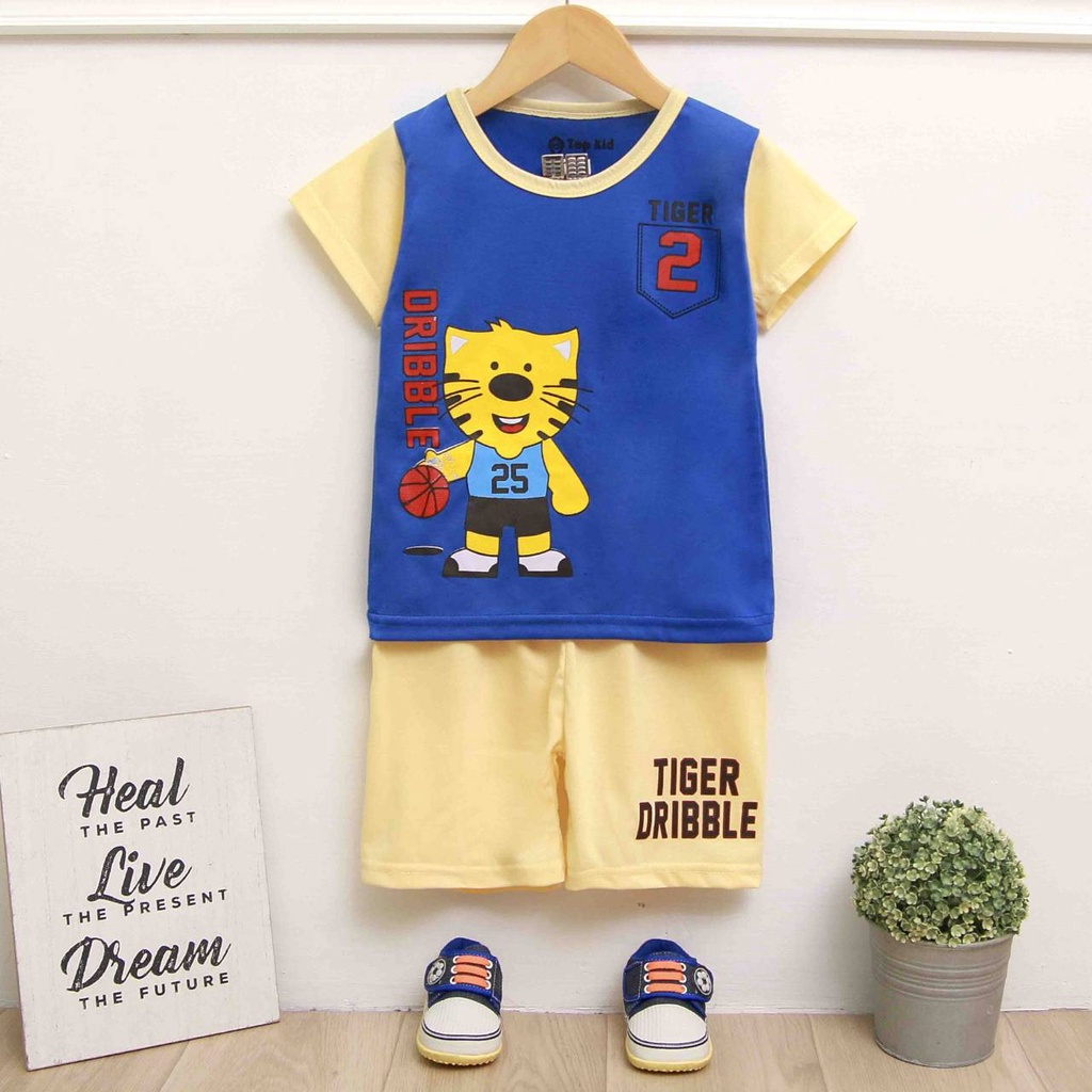 Setelan Baju Anak Laki-Laki / Playset Anak 2-9 Tahun