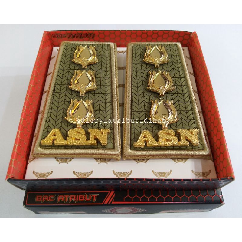 PANGKAT ASN SUMSEL GOLONGAN 4B LIS BIASA