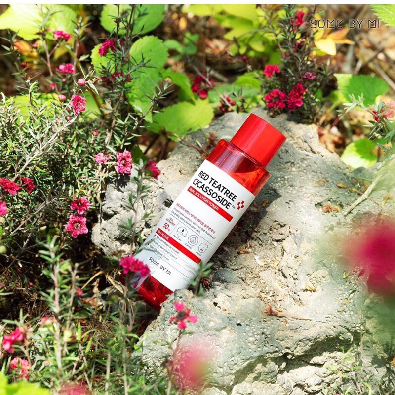 Red Teatree Cicassoside Final Solution Toner