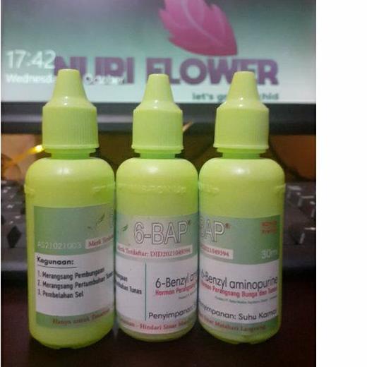 ✽ Hormon tanaman 6 BAP Benzylaminopurine penumbuh tunas Anggrek 6BAP kemasan 30ml original ☋