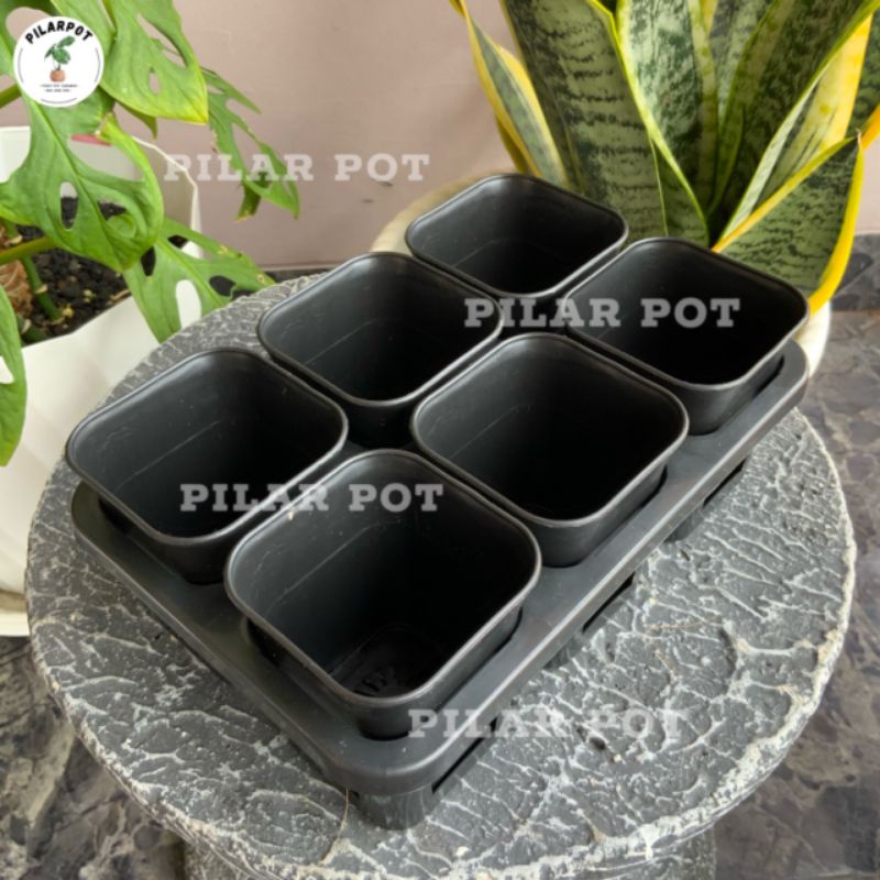 1 set Tray + POT BUNGA NKT KOTAK 7 CM HITAM | tray semai bibit