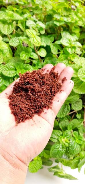 Media tanam COCOPEAT Halus 1000 Gram