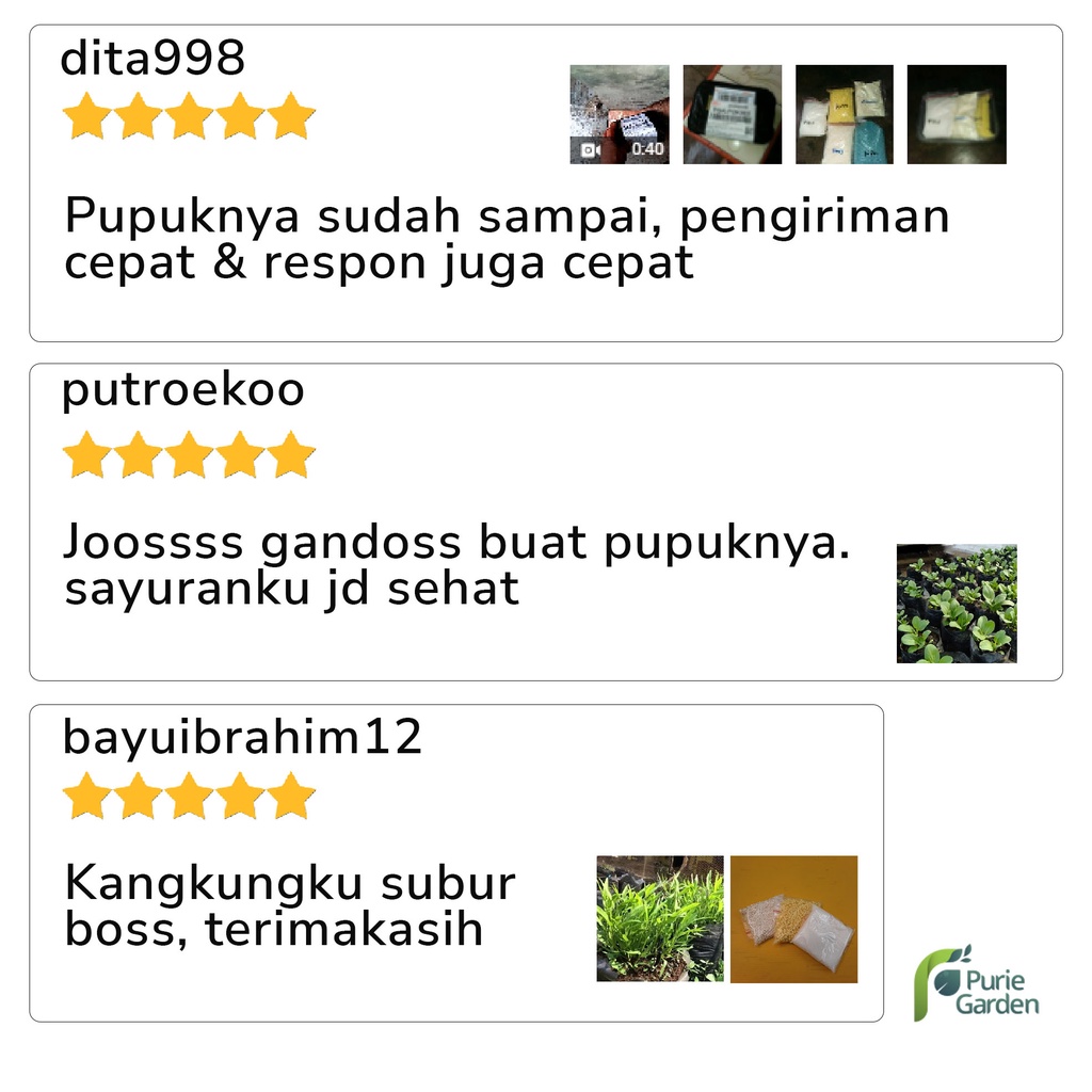 KNO3 MKP BORON Paket Hemat Lengkap Sayur &amp; Buah TERLARIS!!! PG KDR