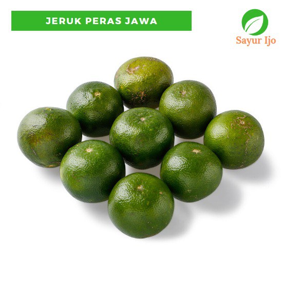 

Jeruk Peras Jawa 950 - 1000 Gram Fresh Orange Java Jus Buah Manis Asam Segar