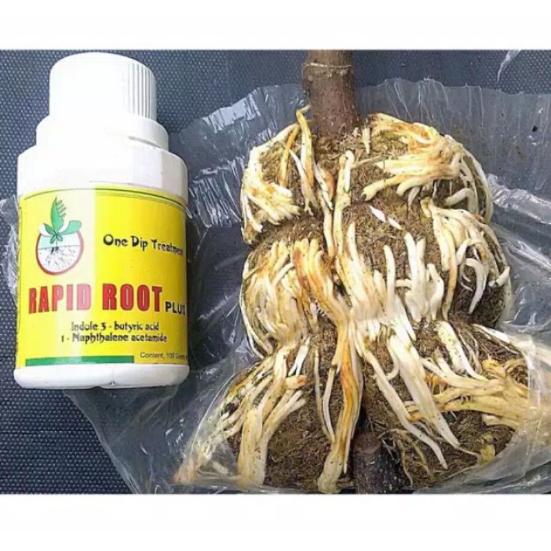 

RAPID ROOT BOTOL 100 gr