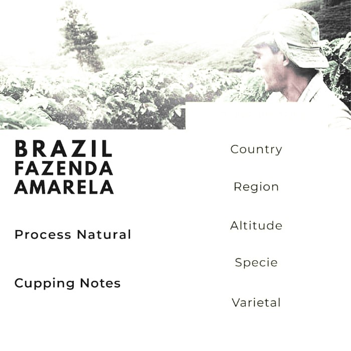 

BIJI KOPI ARABIKA BRAZIL FAZENDA AMARELA NATURAL - 1KG NORTHSIDER