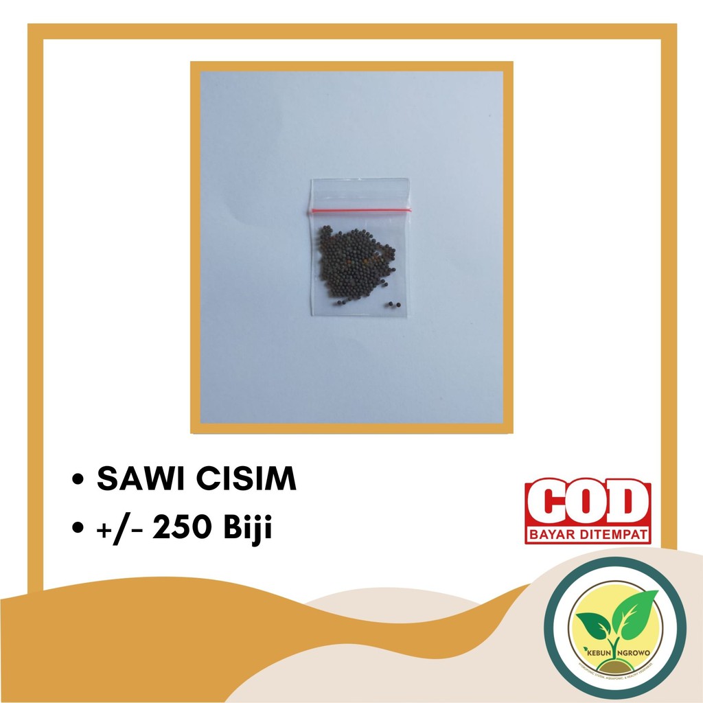 Benih Biji Sawi Caisim Shinta Manis Cap Panah Merah Hidroponik 250 Biji KEMASAN KLIP-3