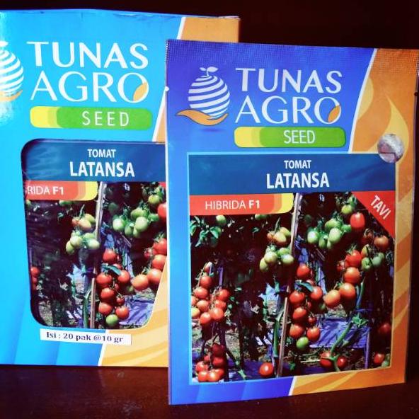 Jangan Ketinggalan order..  Benih Tomat Latansa F1 - Bibit Tanaman Unggul Sayur Tomat Hibrida - Biji