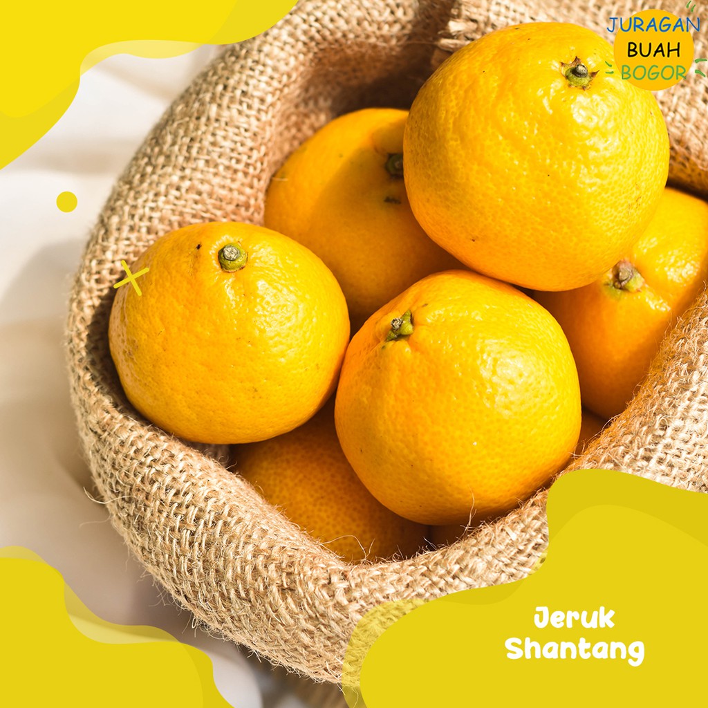 

PROMO JERUK SHANTANG MURAH | BUAH JERUK SHANTANG DAUN | JERUK SHANTANG MURAH