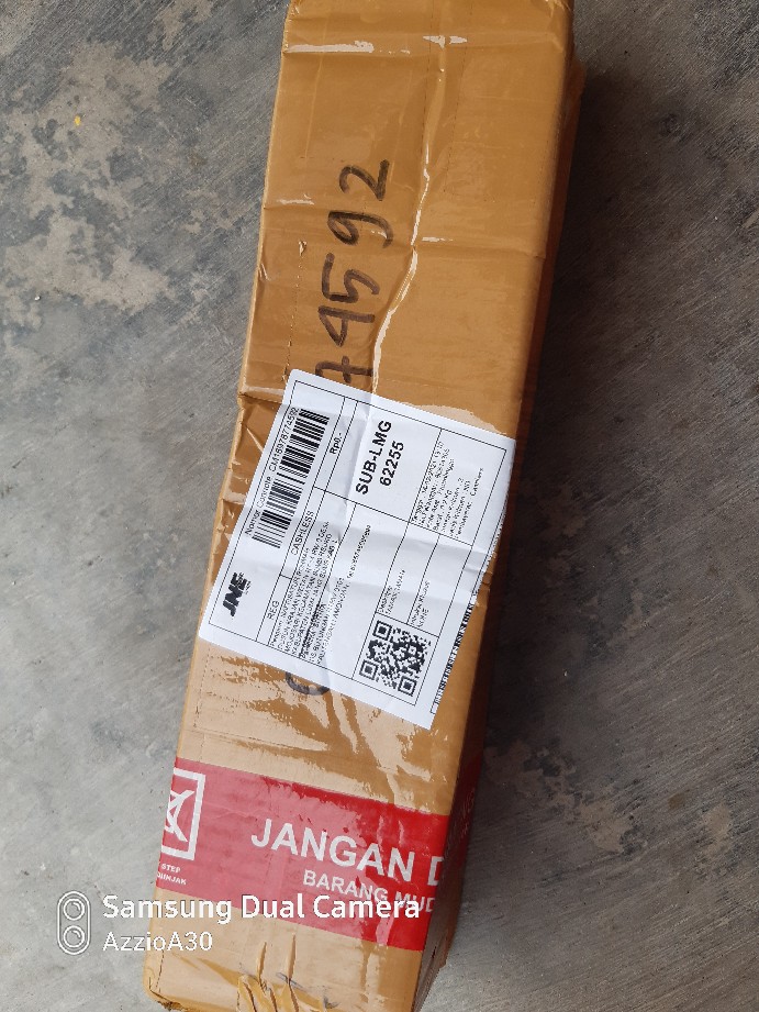 Begonia Tiger Tanaman Hias