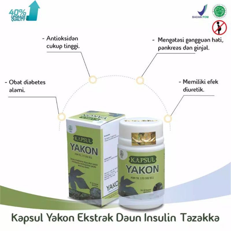 YAKON Insulin Herbal Diabetes 60 Kapsul Asli - Mengobati Kencing Manis