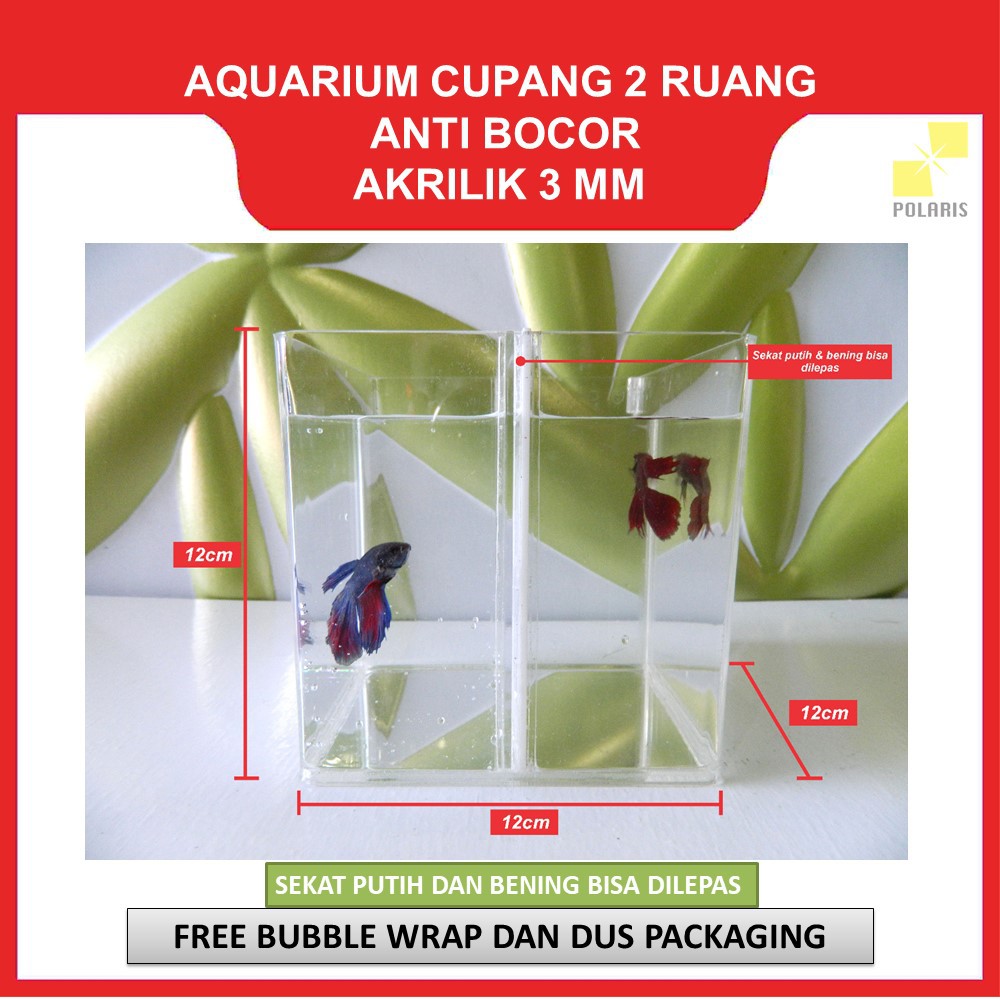 AKUARIUM IKAN CUPANG AKRILIK / SOLITER IKAN CUPANG / AQUARIUM ACRYLIC IKAN HIAS 2 RUANG