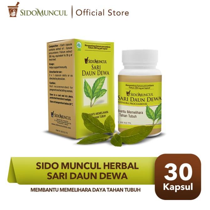 

TERMURAH Sido Muncul Herbal Sari Daun Dewa 30'k - Hambat Sel Tumor & Kanker /OBAT HERBAL ASAM URAT/OBAT HERBAL PELANGSING/OBAT HERBAL KOLESTEROL/OBAT HERBAL DIABETES