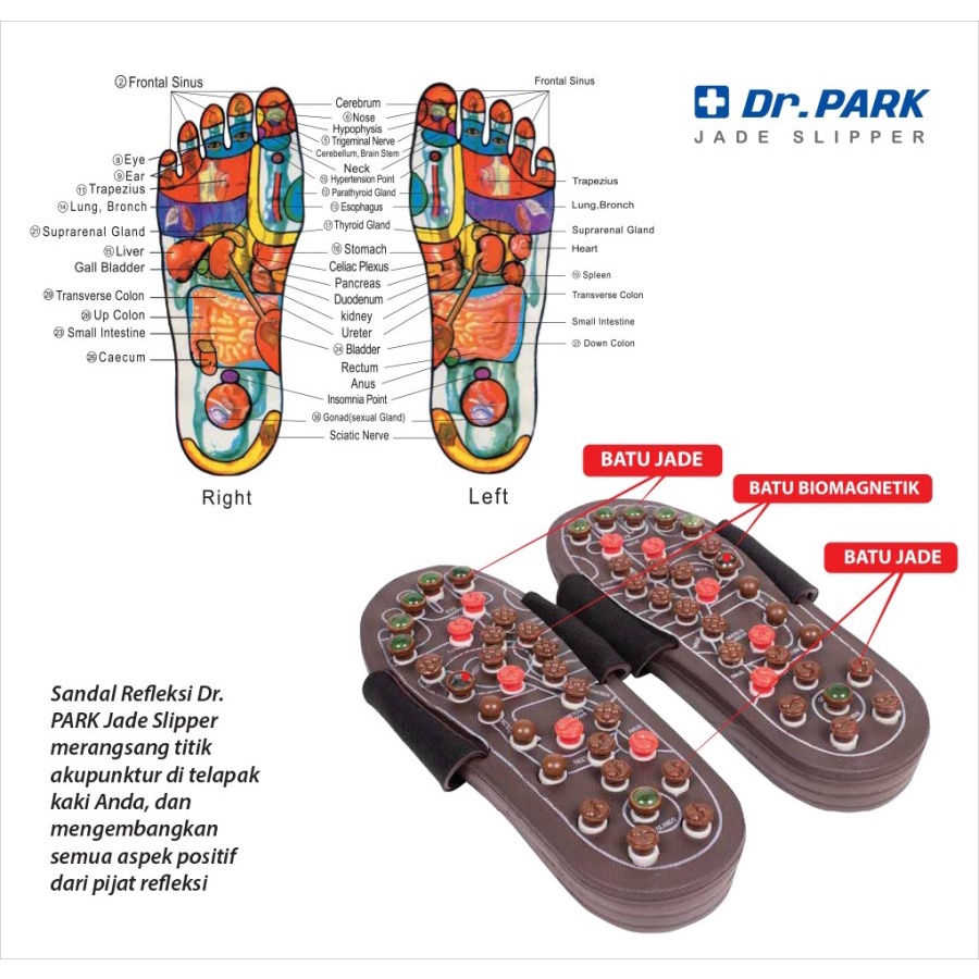Dr. Park Jade Slipper - Sandal kesehatan terapi Korea
