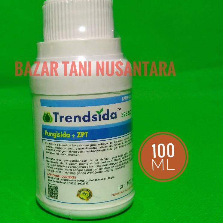 

TERBARU Trendsida kecil
