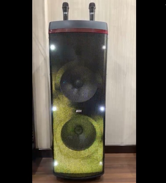 Speaker Bluetooth G-POWER Gedi 12 Inch Free 2 Mic Wireless Mirophone Lampu Cantik