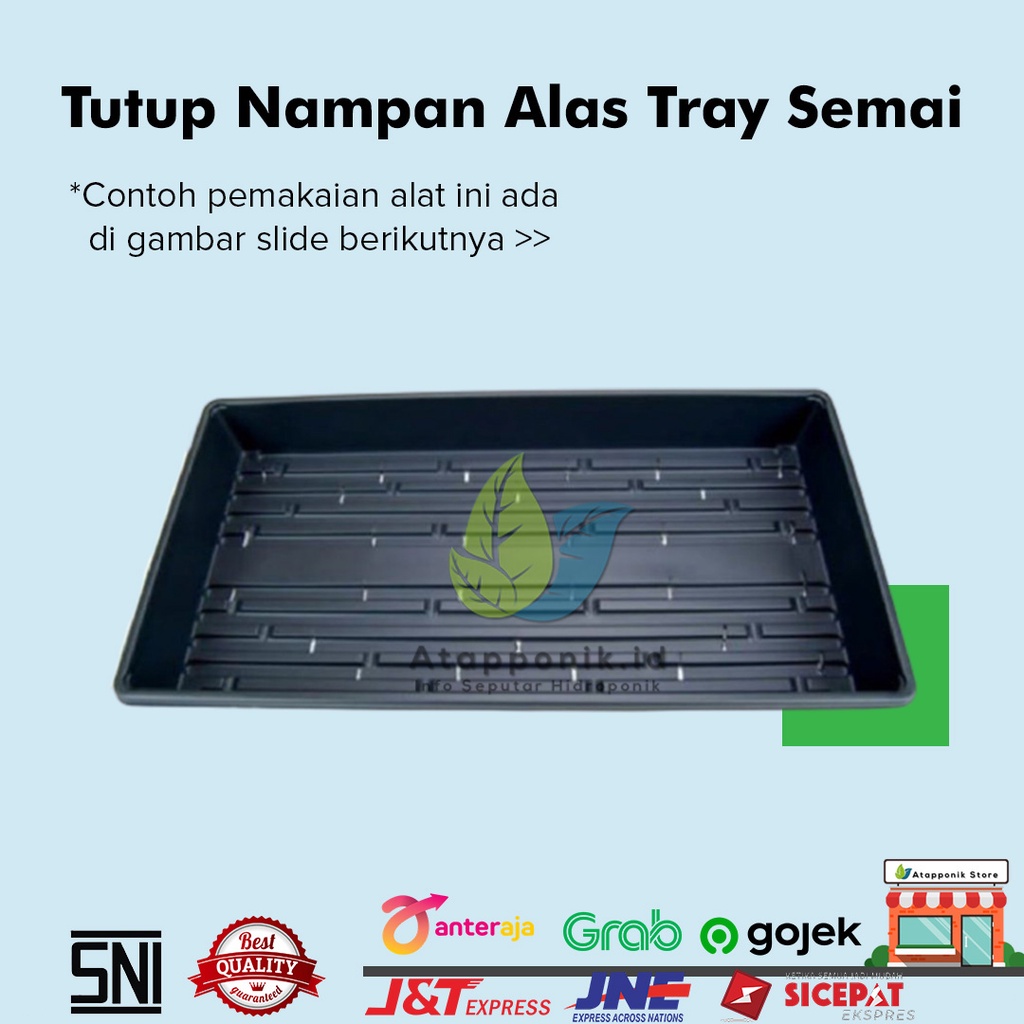 Alas Tray Semai Hitam - Alas Pot Tray / Nampan Semai / Tray Pot Biji