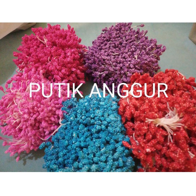 putik anggur putik plastik anggur putik sari anggur