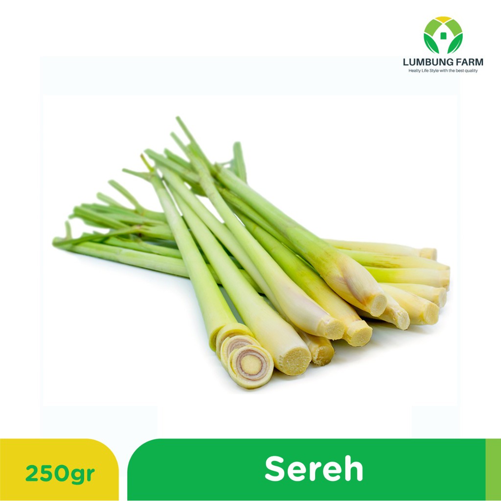 

SEREH 250 GRAM | Bumbu Dapur by Lumbung Farm