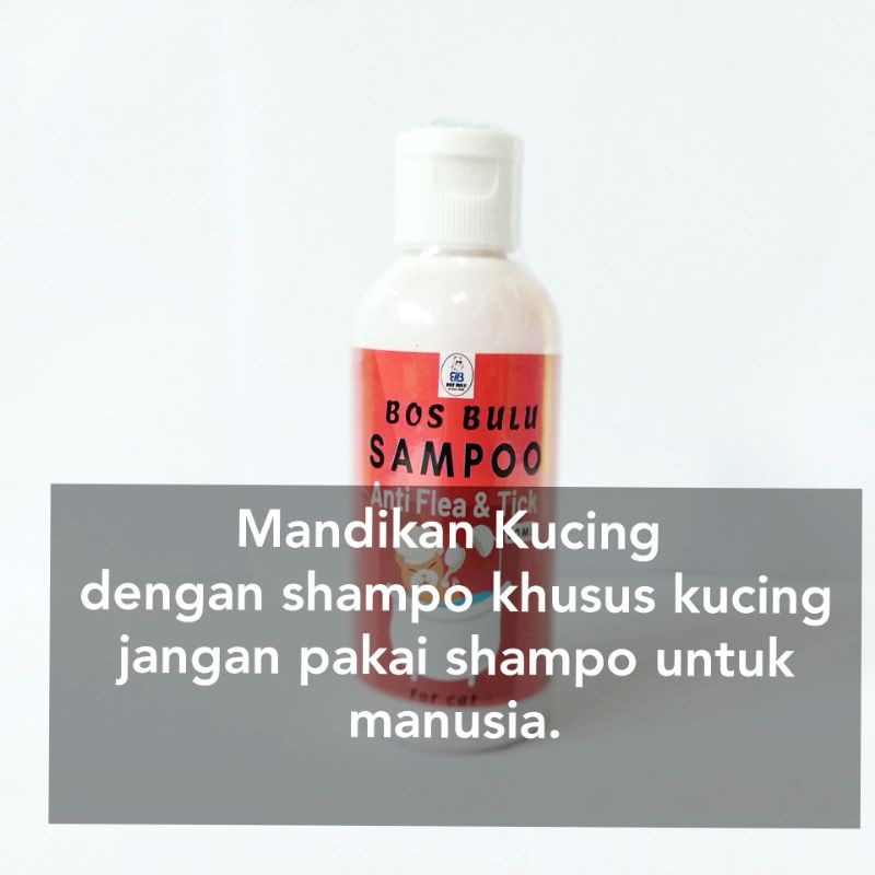 SHAMPO KUCING kemasan 60 ml