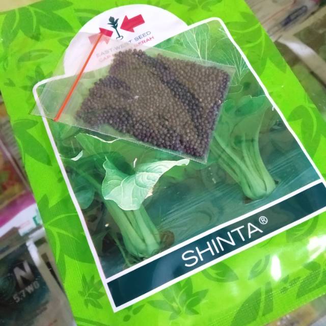 

Benih Sawi Caisim Shinta Repacking 500 Butir