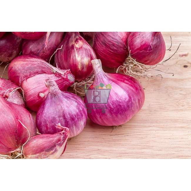 

Bawang Merah Brebes 250 Gram