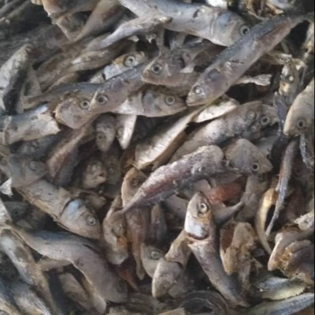 

Ikan rebus / ikan sampah