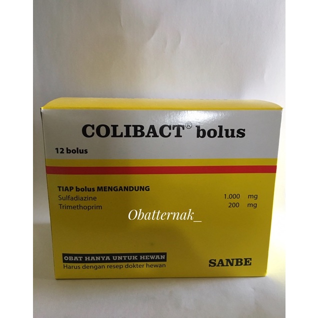 Colibact Bolus obat diare dan pernafasan ternak sapi kambing domba ampuh
