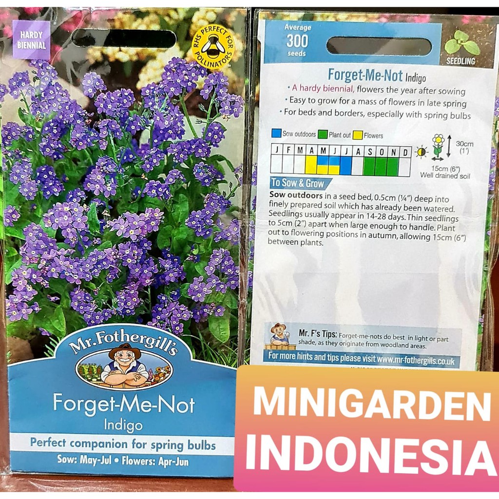 Benih Bunga FORGET ME NOT INDIGO PACK 300 BIJI Mr.Fothergills Bibit Tanaman