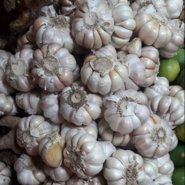 

Bawang Putih Honan (1kg 37.000)