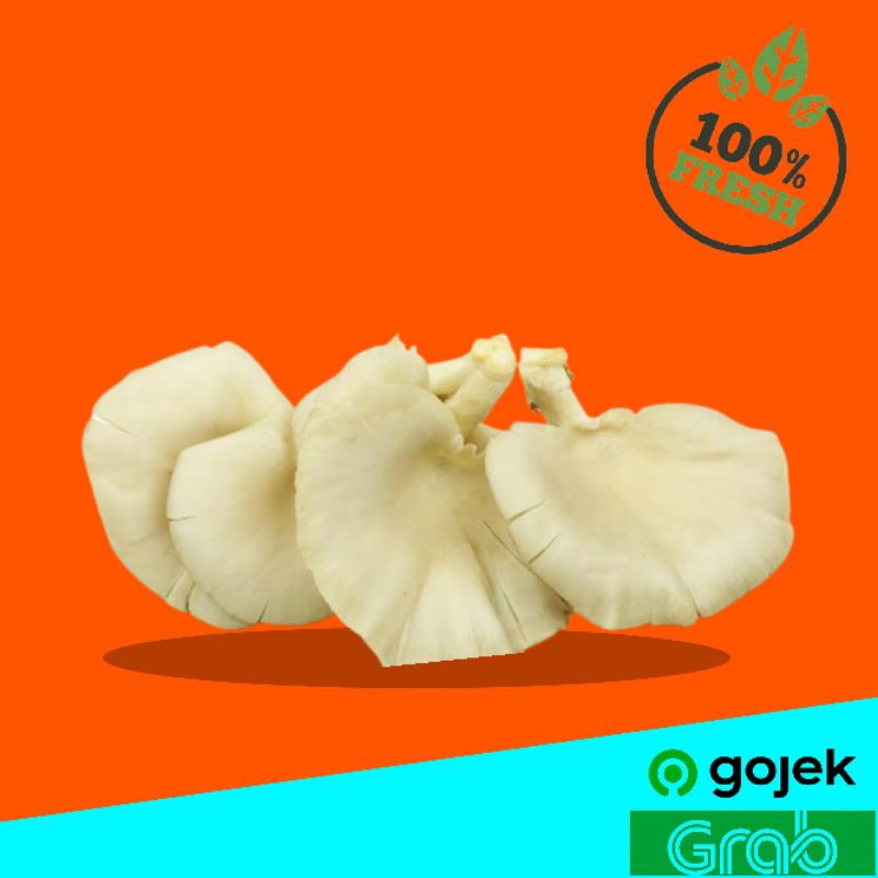 

Jamur Tiram 250 gr