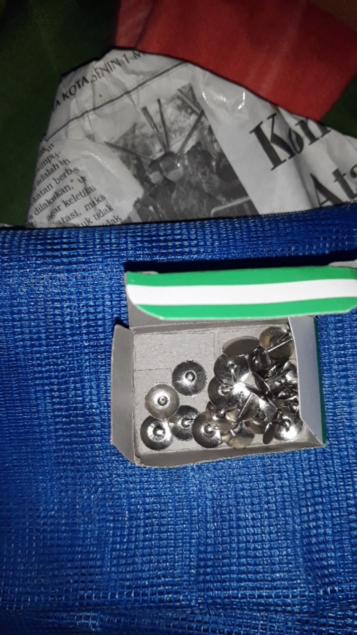 Paku Pines / Paku Payung / Thumb Tacks