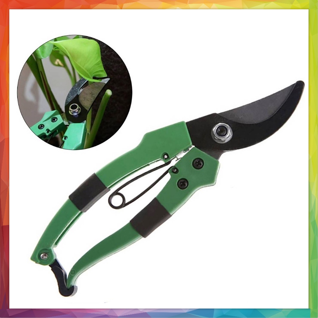 Gunting Dahan Ranting Taman Garden Pruning Shear Scissors