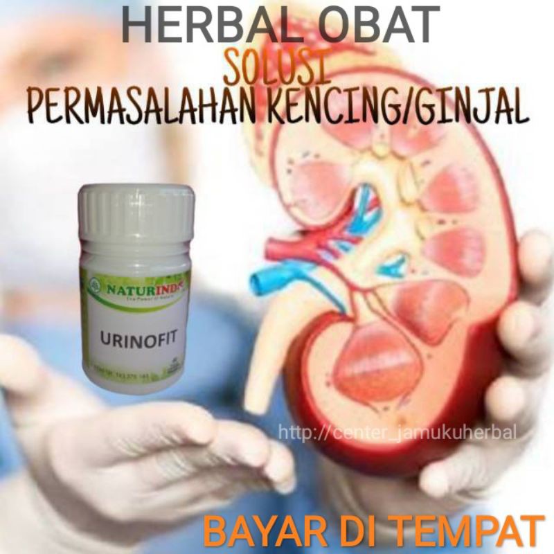 URINOFIT HERBAL NATURINDO.OBAT PERWATAN SAKIT GINJAL,BATU GINJAL COD