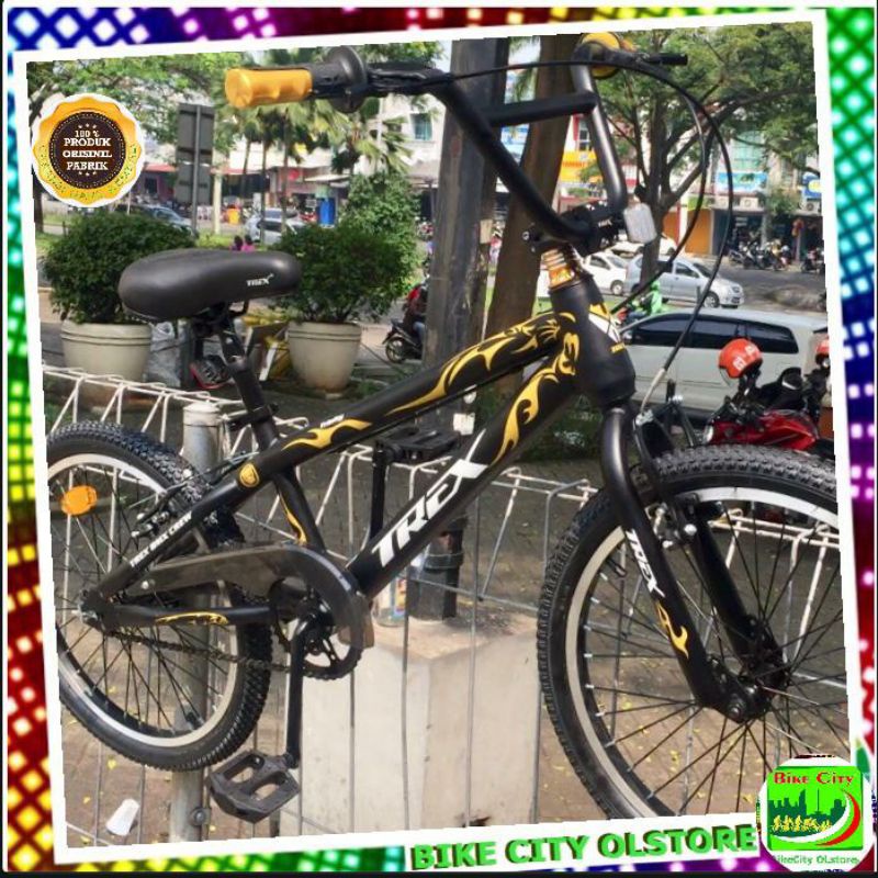 sepeda bmx 20 inch trex trinity 2.125 1sp steel Dikirim Rakit StelJadi