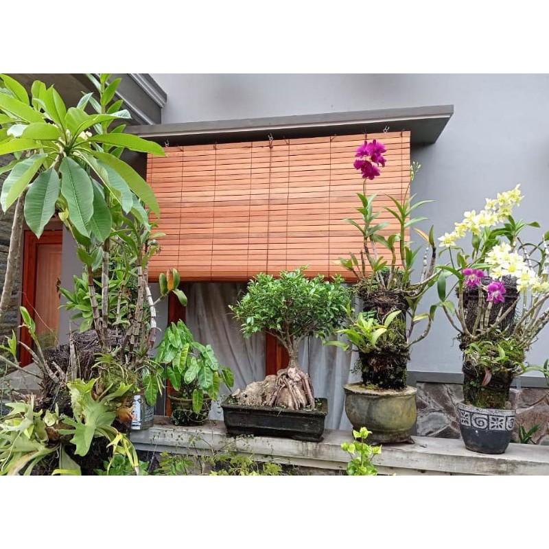 Tirai Kayu Krey Kayu Krei Kayu Bengkirai Finishing Ukuran 150 x 200