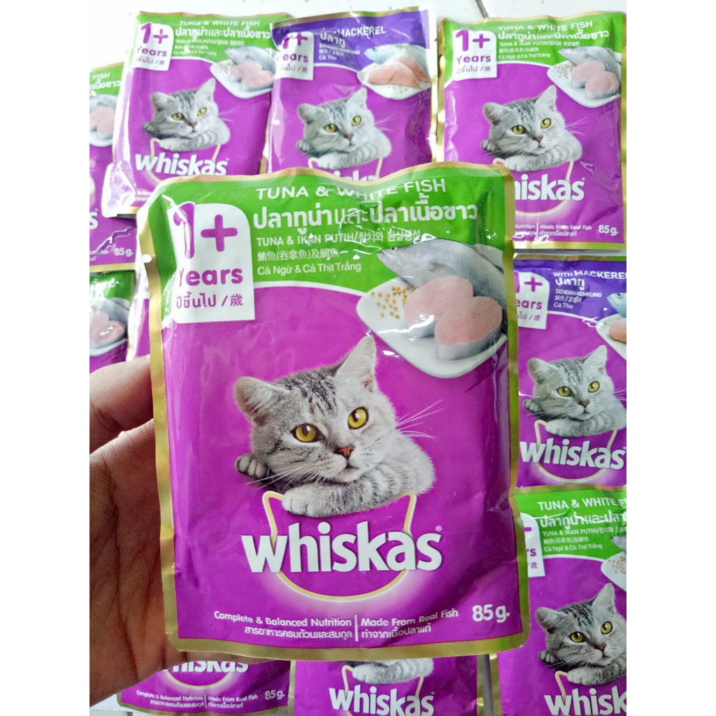 Jual Makanan Kucing Basah Whiskas WetFood / Sachet / Pouch Adult 85