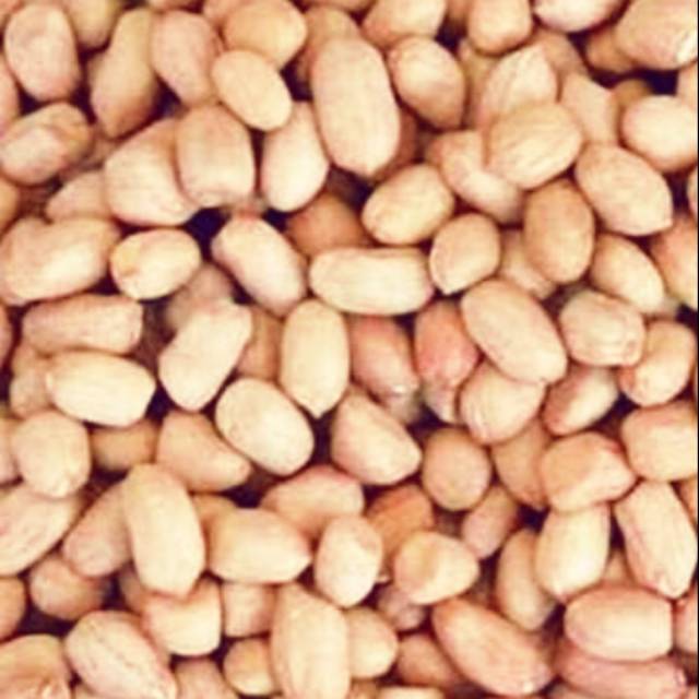 

KACANG TANAH / BROL LANGSUNG DARI PETANI