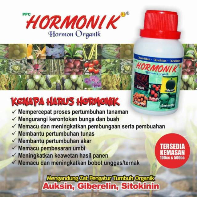 Obat perangsang akar dan tunas tanaman