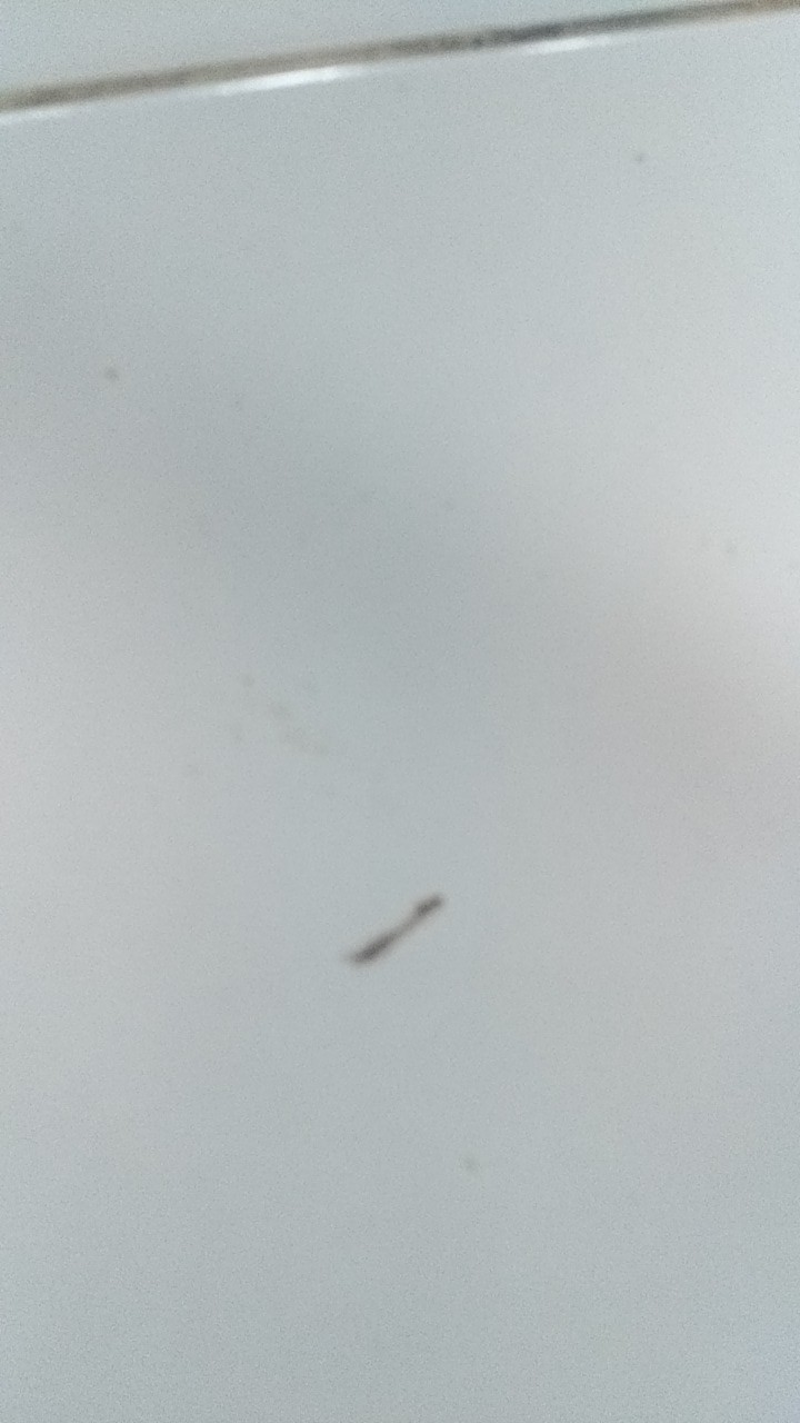 T Cabang Onda Untuk Shower Wc / Stop Keran Tee M X F Brass Chrome 1/2 Kran