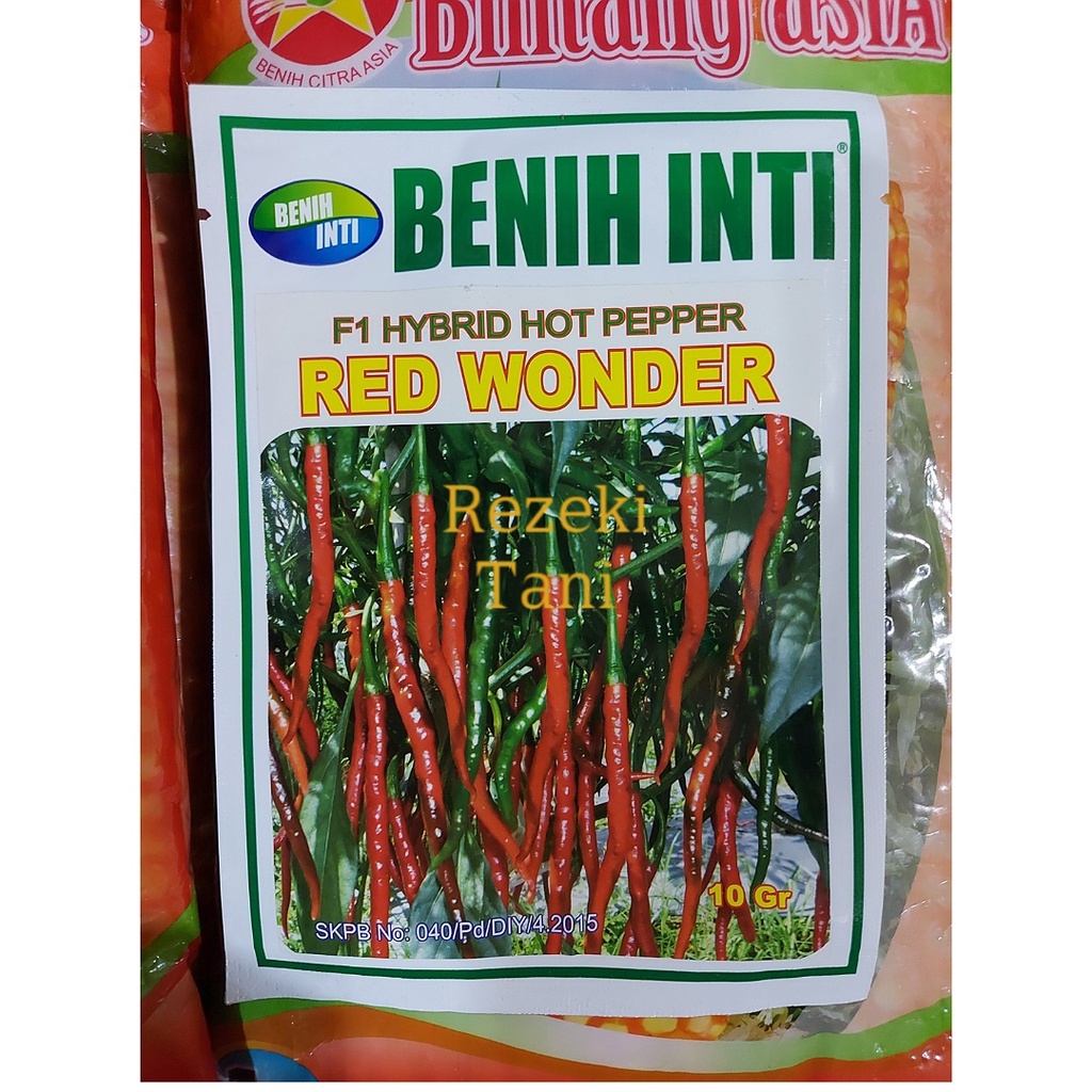 Benih Cabe Keriting Hibrida Red Wonder 10gr Benih Inti