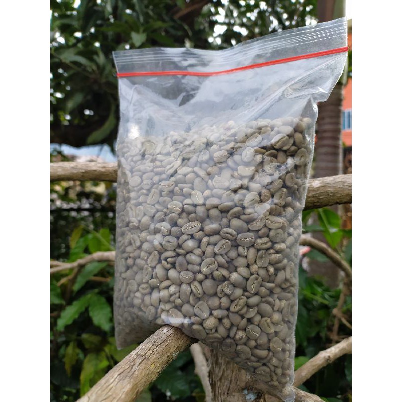 

GB Kopi Gayo Fullwash 3 Kg
