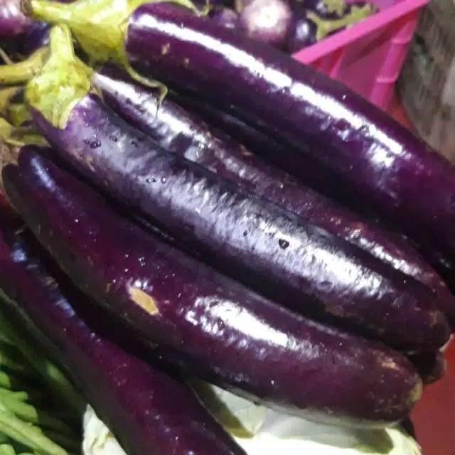 

Terong ungu segar 1 kg fresh