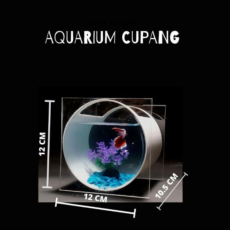 Aquarium akrilik bulat kombinasi kotak transparan