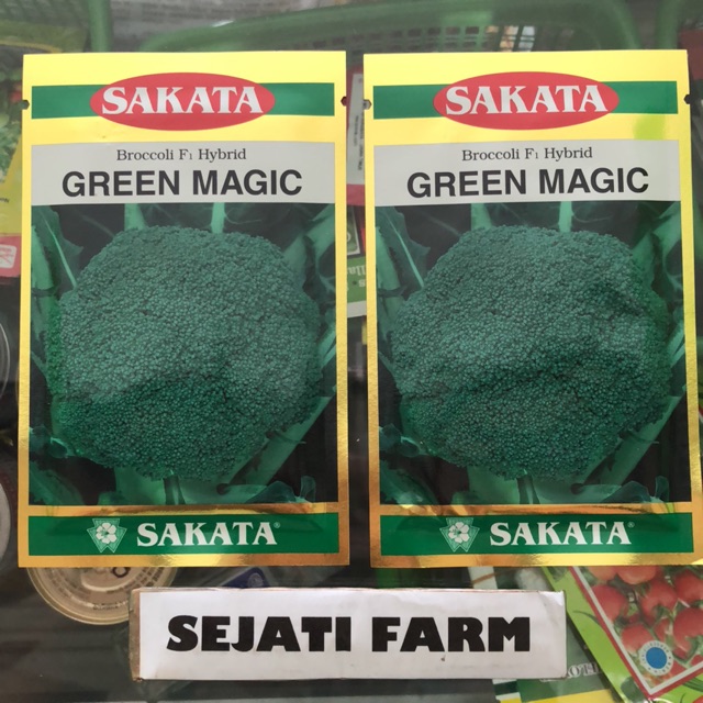 Benih Brokoli - GREEN MAGIC - SAKATA