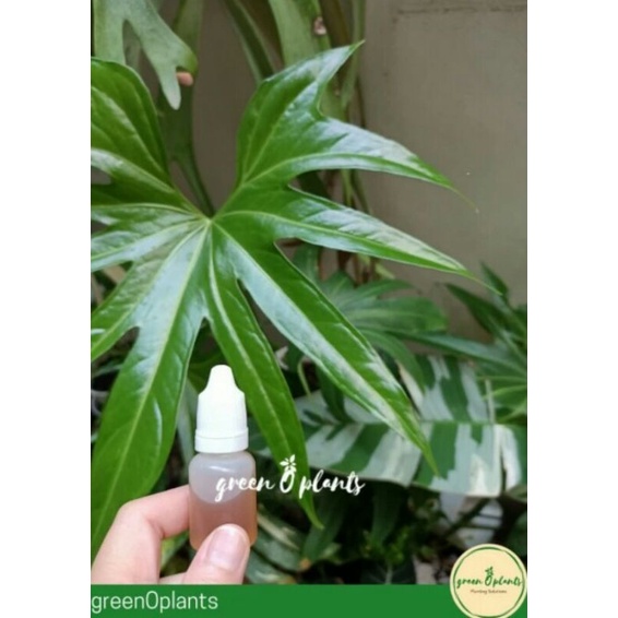 Refil Neem Oil untuk Neem Spray