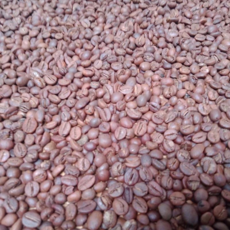 

Robusta Biji sangrai/Roasbean petik matang 1kg