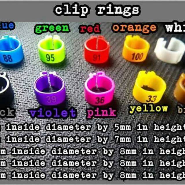 RING CLIP BURUNG /GELANG BURUNG  (Merpati)