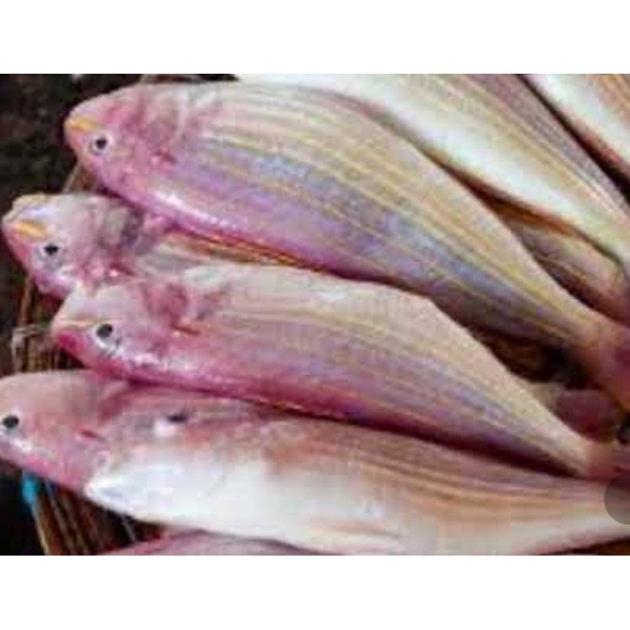 

Ikan kuniran 500 gram || sayur online murah surabaya